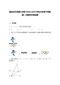 重庆市万州第三中学2024-2025学年九年级下学期第一次数学月考试卷（含答案解析）