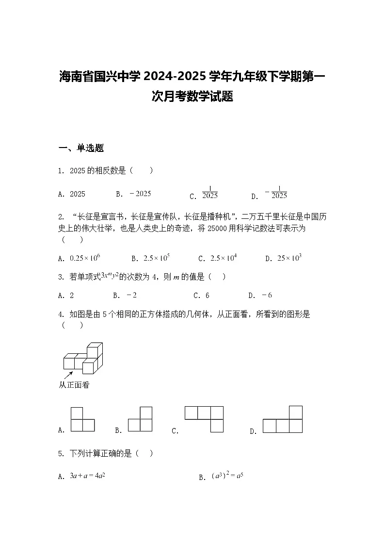 海南省国兴中学2024-2025学年九年级下学期第一次月考数学试题(含答案解析)第1页