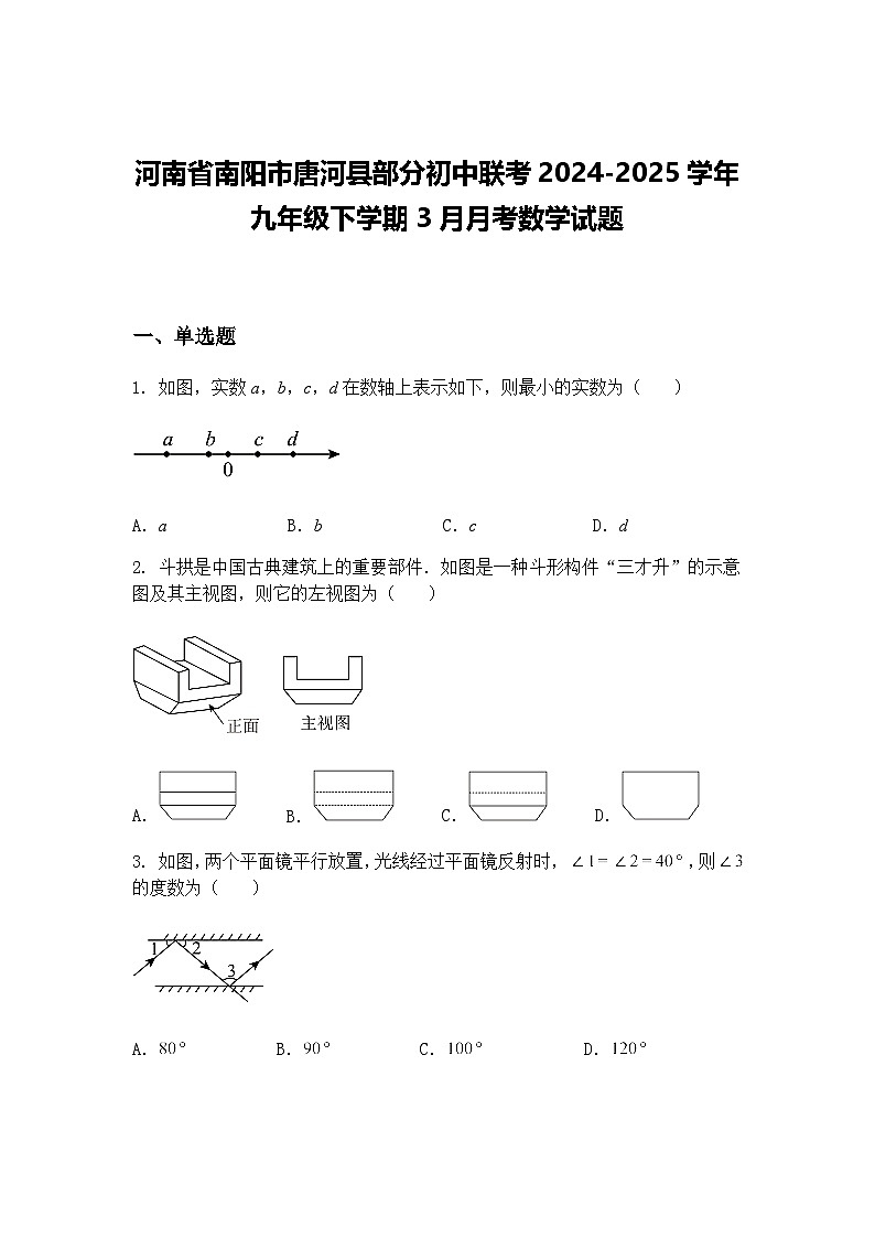 河南省南阳市唐河县部分初中联考2024-2025学年九年级下学期3月月考数学试题(含答案解析)第1页