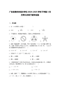 广东省惠州市培文学校2024-2025学年下学期3月月考九年级下数学试题（含答案解析）