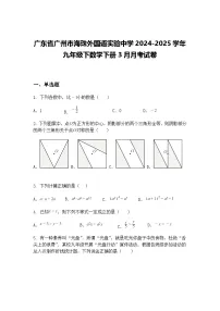 广东省广州市海珠外国语实验中学2024-2025学年九年级下数学下册3月月考试卷（含答案解析）