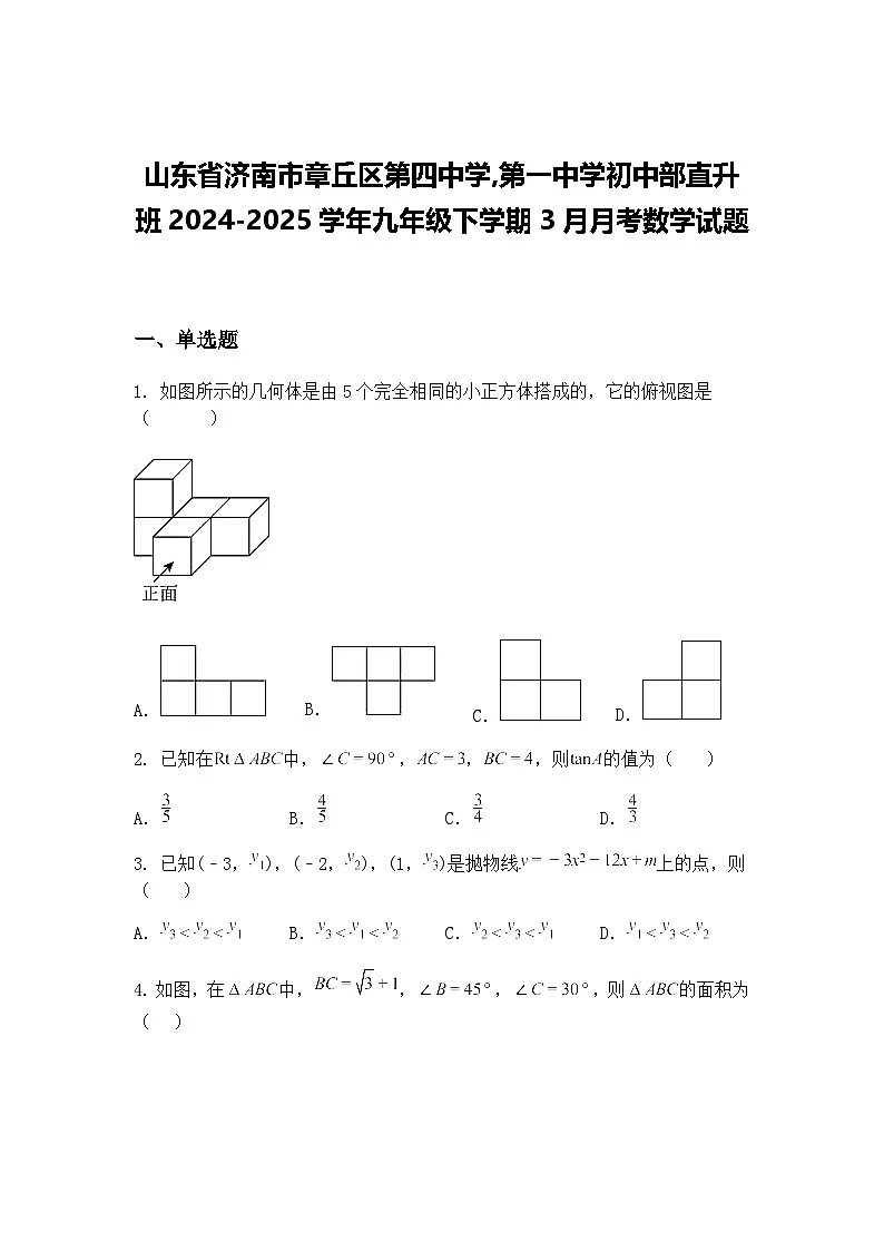 山东省济南市章丘区第四中学,第一中学初中部直升班2024-2025学年九年级下学期3月月考数学试题(含答案解析)第1页