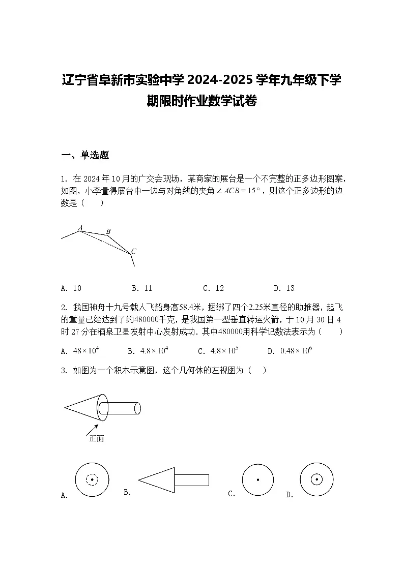 辽宁省阜新市实验中学2024-2025学年九年级下学期限时作业数学试卷(含答案解析)第1页