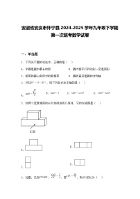安徽省安庆市怀宁县2024-2025学年九年级下学期第一次联考数学试卷（含答案解析）