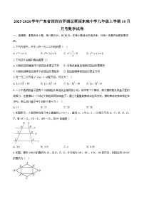 2025-2026学年广东省深圳市罗湖区翠园东晓中学九年级上学期10月月考数学试卷-自定义类型