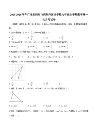 2025-2026学年广东省深圳市深圳外国语学校九年级上学期数学第一次月考试卷-自定义类型