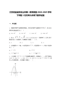 江苏省盐城市东台市第一教育联盟2024-2025学年下学期3月月考九年级下数学试题(含答案解析)