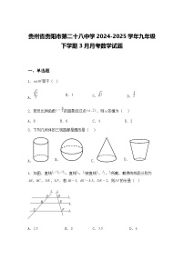 贵州省贵阳市第二十八中学2024-2025学年九年级下学期3月月考数学试题(含答案解析)