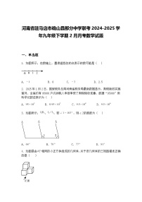 河南省驻马店市确山县部分中学联考2024-2025学年九年级下学期2月月考数学试题（含答案解析）