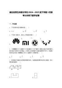 湖北省黄石市部分学校2024--2025滨下学期3月联考九年级下数学试卷（含答案解析）