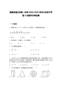 海南省海口市第一中学2024-2025学年九年级下学期3月数学月考试卷（含答案解析）
