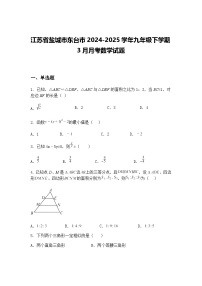 江苏省盐城市东台市2024-2025学年九年级下学期3月月考数学试题（含答案解析）