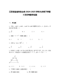 江苏省盐城市东台市2024-2025学年九年级下学期3月月考数学试题(含答案解析)