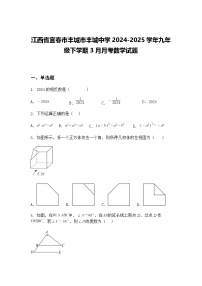 江西省宜春市丰城市丰城中学2024-2025学年九年级下学期3月月考数学试题(含答案解析)