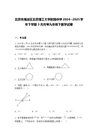 北京市海淀区北京理工大学附属中学2024~2025学年下学期3月月考九年级下数学试卷（含答案解析）