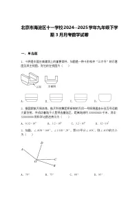 北京市海淀区十一学校2024--2025学年九年级下学期3月月考数学试卷（含答案解析）