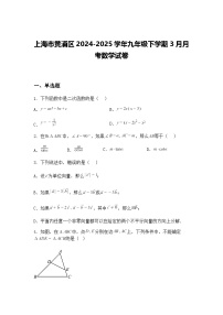 上海市黄浦区2024-2025学年九年级下学期3月月考数学试卷（含答案解析）