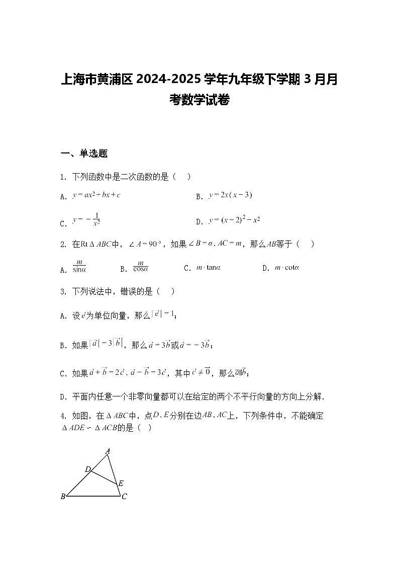 上海市黄浦区2024-2025学年九年级下学期3月月考数学试卷(含答案解析)第1页