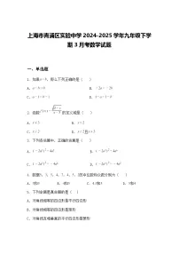 上海市青浦区实验中学2024-2025学年九年级下学期3月考数学试题（含答案解析）
