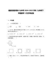 福建省福州第十九中学2024-2025学年 九年级下学期数学3月月考试题（含答案解析）