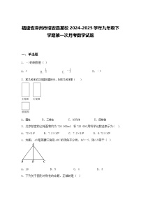 福建省漳州市诏安县某校2024-2025学年九年级下学期第一次月考数学试题（含答案解析）