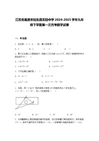 江苏省南通市如东县实验中学2024-2025学年九年级下学期第一次月考数学试卷（含答案解析）
