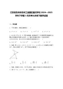 江苏省苏州市苏州工业园区星湾学校2024—2025学年下学期3月月考九年级下数学试题（含答案解析）