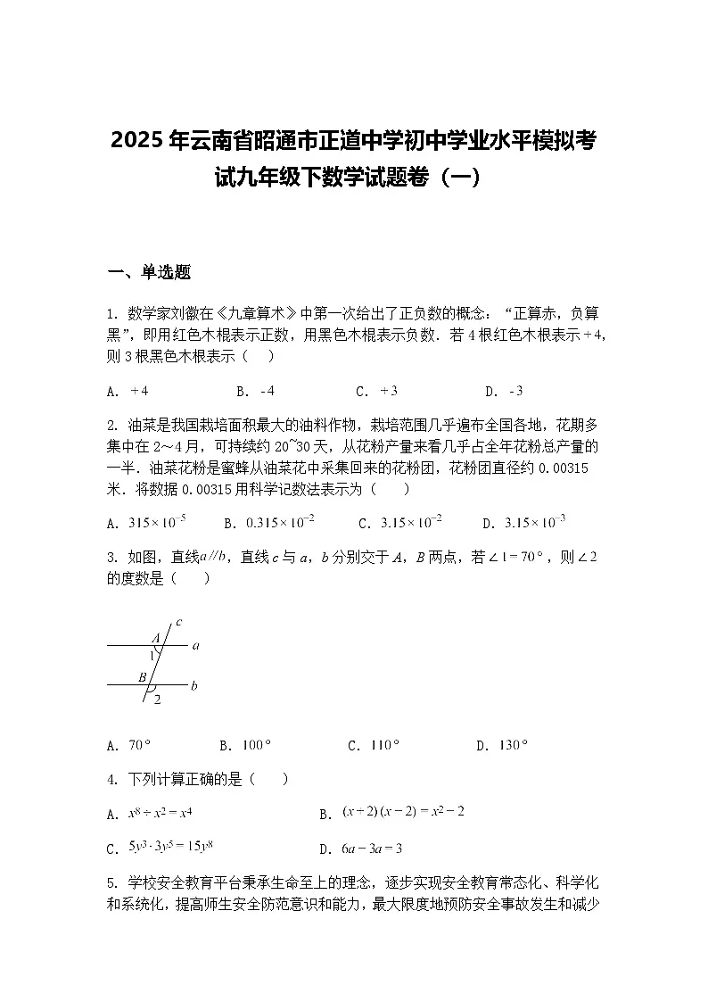 2025年云南省昭通市正道中学初中学业水平模拟考试九年级下数学试题卷(一)(含答案解析)第1页