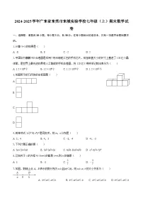 2024-2025学年广东省东莞市东城实验学校七年级（上）期末数学试卷-自定义类型