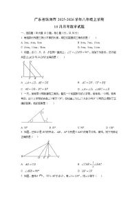 广东省珠海市2025-2026学年八年级上学期10月月考数学试题（学生版）