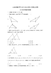 山东省临沂市2025-2026学年八年级上学期10月月考数学试题（学生版）