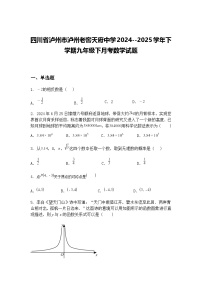 四川省泸州市泸州老窖天府中学2024--2025学年下学期九年级下月考数学试题（含答案解析）