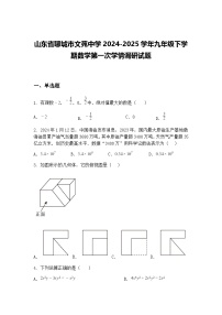 山东省聊城市文苑中学2024-2025学年九年级下学期数学第一次学情调研试题(含答案解析)