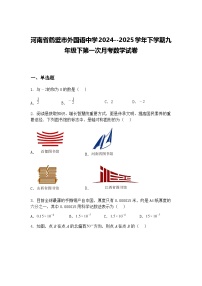 河南省鹤壁市外国语中学2024--2025学年下学期九年级下第一次月考数学试卷（含答案解析）