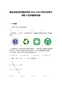 重庆市渝中区巴蜀中学校2024-2025学年九年级下学期3月月考数学试题（含答案解析）