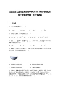 江苏省连云港市新海初级中学2024-2025学年九年级下学期数学第一次月考试题（含答案解析）