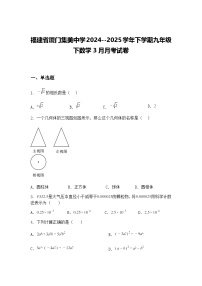 福建省厦门集美中学2024--2025学年下学期九年级下数学3月月考试卷（含答案解析）