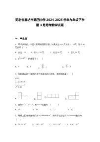 河北省廊坊市第四中学2024-2025学年九年级下学期3月月考数学试题（含答案解析）