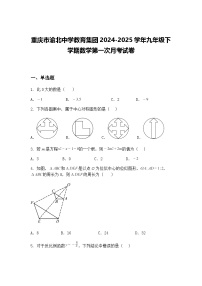 重庆市渝北中学教育集团2024-2025学年九年级下学期数学第一次月考试卷（含答案解析）