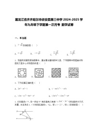黑龙江省齐齐哈尔市依安县第三中学2024-2025学年九年级下学期第一次月考 数学试卷（含答案解析）