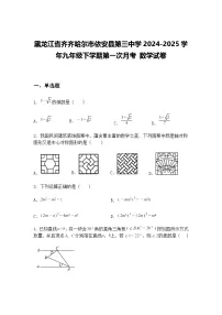 黑龙江省齐齐哈尔市依安县第三中学2024-2025学年九年级下学期第一次月考 数学试卷(含答案解析)