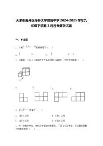 天津市南开区南开大学附属中学2024-2025学年九年级下学期3月月考数学试题（含答案解析）