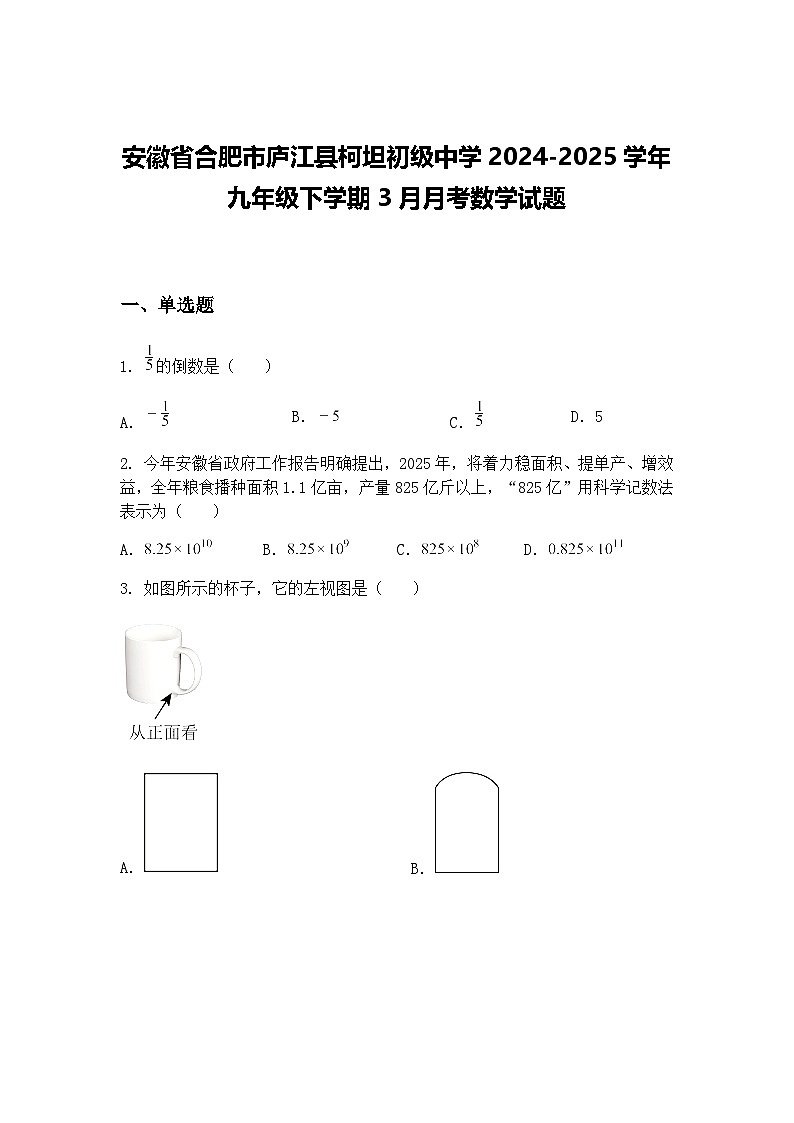 安徽省合肥市庐江县柯坦初级中学2024-2025学年九年级下学期3月月考数学试题(含答案解析)第1页