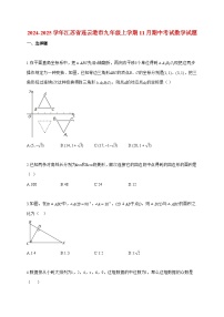 2024_2025学年度江苏省连云港市九年级上册11月期中考试数学检测试卷【附解析】