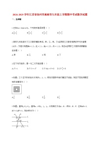 2024_2025学年度江苏省扬州市高邮市九年级上册期中考试数学检测试卷【附解析】