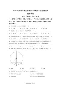 江苏省宿迁市沭阳县沭阳县乡镇2024_2025学年九年级上册（10月）月考数学试题 [附答案]