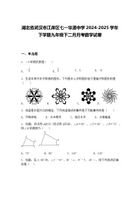 湖北省武汉市江岸区七一华源中学2024-2025学年下学期九年级下二月月考数学试卷（含答案解析）