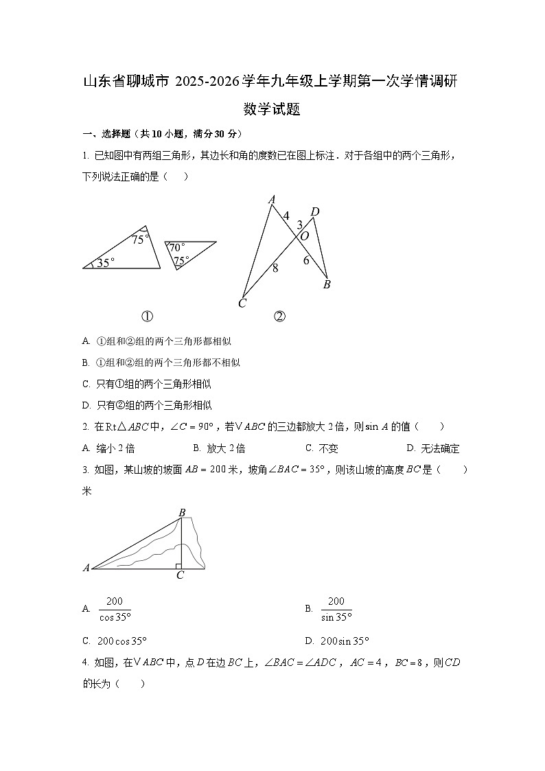 山东省聊城市2025-2026学年九年级上学期第一次学情调研数学试卷(学生版)第1页