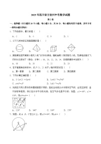 2025年四川省甘孜州中考数学真题（含答案）