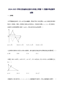 2024~2025学年江苏省连云港市九年级上学期[11月]期中考试数学检测试题 [答案]